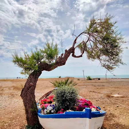 Apartamento Moncofa